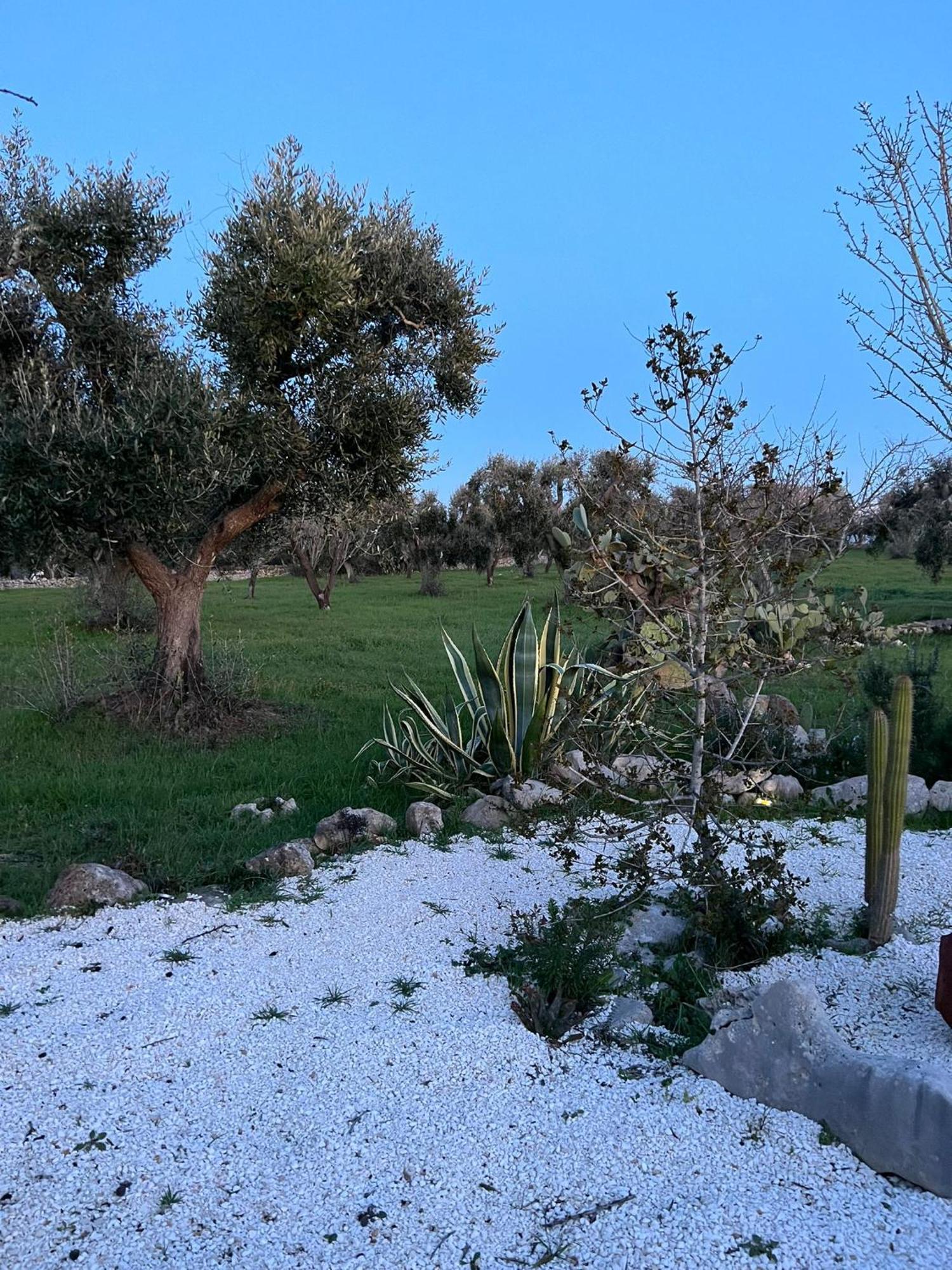 Villa Trullo Oriale à Ostuni Extérieur photo